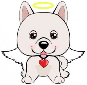 a doggy angel with wings